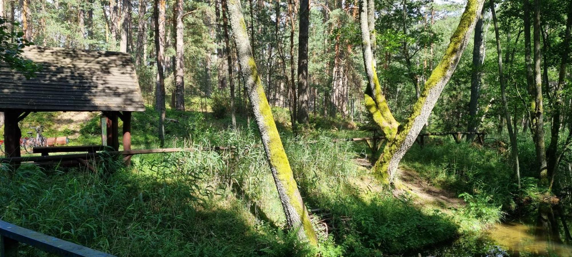 Osrodek Wypoczynkowy Soszko Swornegacie Exterior foto